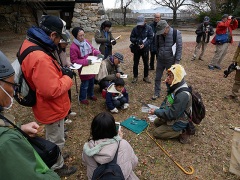 鳥の羽の解説 鳥の羽の解説