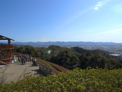 展望ツツジ園からの眺望
