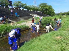 川の生き物探し