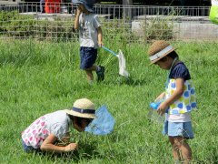 修景庭園芝生広場で虫捕り