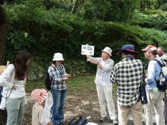 カニの解説 カニの解説