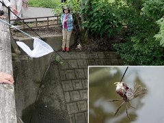 カニ釣り カニ釣り