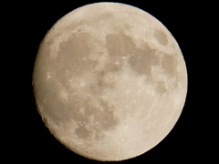 十五夜前日の月