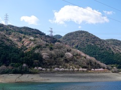 山笑う 山笑う