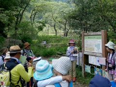 葦毛湿原の名前の由来の解説 葦毛湿原の名前の由来の解説