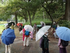 久しぶりの観察会のオープニング