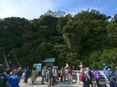 天然記念物としての竹島、八百富神社の解説 天然記念物としての竹島、八百富神社の解説