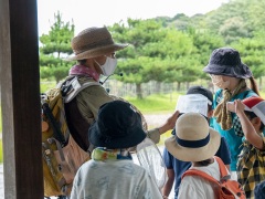捕まえた虫の解説 捕まえた虫の解説