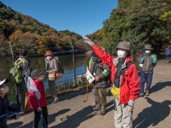 ムササビの糞の解説 ムササビの糞の解説