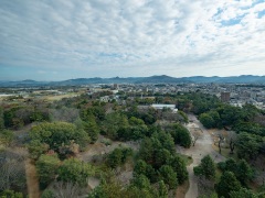 豊橋市役所13階から眺める豊橋公園