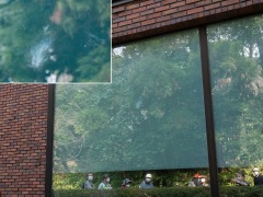 ハトのバードストライク痕