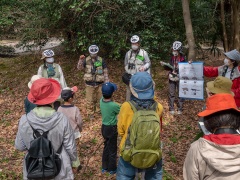 豊橋公園にいる哺乳類はどれ? 豊橋公園にいる哺乳類はどれ?