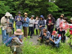 観察している様子 観察している様子