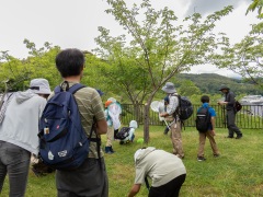 コゲラの巣の解説 コゲラの巣の解説