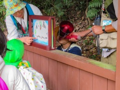 アサギマダラの紙芝居