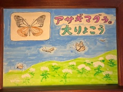 紙芝居「アサギマダラの大りょこう」