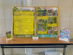 当会の展示