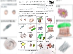 小学1年生(男児)のフィールドビンゴ