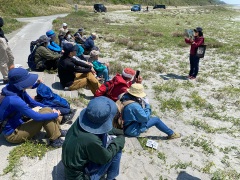 ウミガメの紙芝居