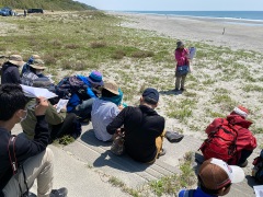 表浜の動物の解説