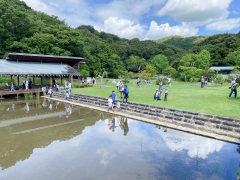 修景庭園で虫捕り