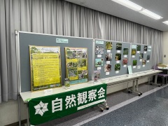 会場の全景 会場の全景