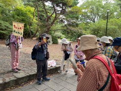 ムクロジの果実で石鹸
