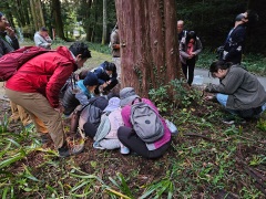 06ムササビの糞探し沢田 06ムササビの糞探し沢田