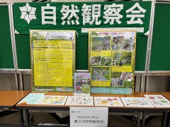 展示ブース