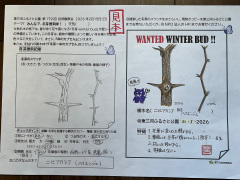 スケッチの作例１