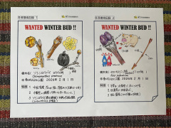 ソシンロウバイとイロハモミジのイラスト作例2