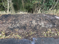 1月21日の山林火災現場