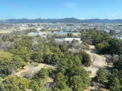 2026年3月の豊橋公園全景