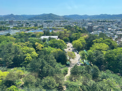 2026年５月の豊橋公園全景