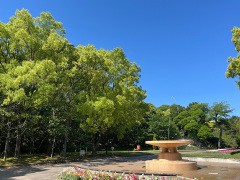 観察会当日の豊橋公園近景