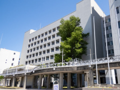 市庁舎南側のラクウショウ