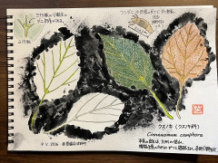 クスノキの葉スタンピングの作例
