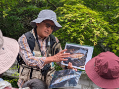 アマゴ解説撮 アマゴ解説撮